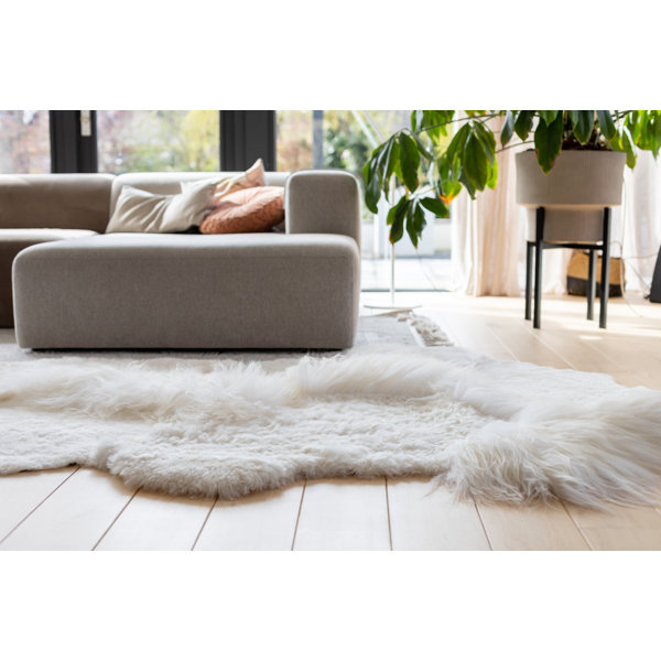 Canora Grey Anacia Sheepskin White Outdoor Rug Wayfair.co.uk